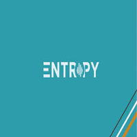 Entropy | Top Information Technology Company In Bletchley